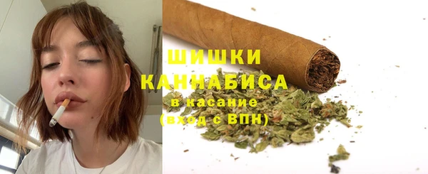 молекула духа Елабуга