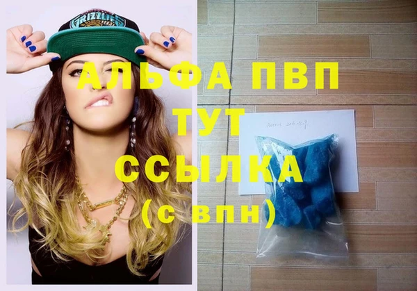 гашик Елизово