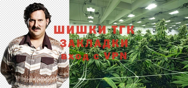 стаф Заводоуковск