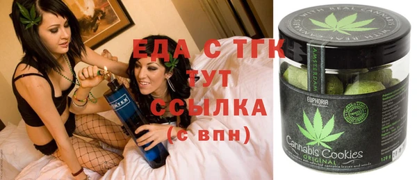 СК Ельня