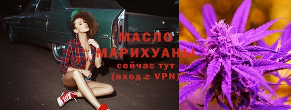 СК Ельня